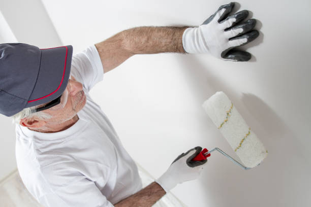 Best Drywall Sanding and Smoothing  in Plainfield, NJ